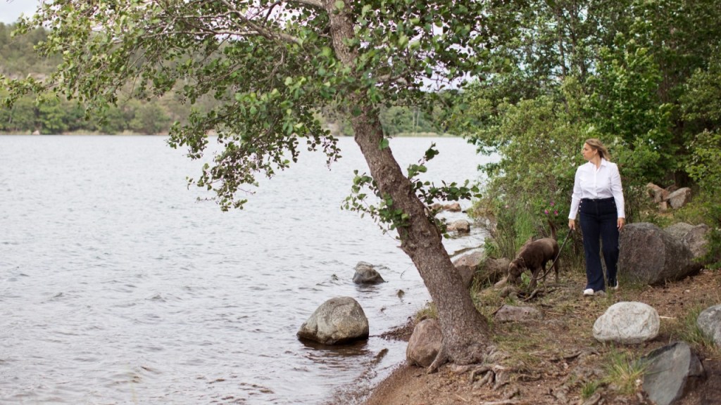 Leva business- Newsletter